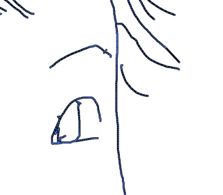 pic3.jpg